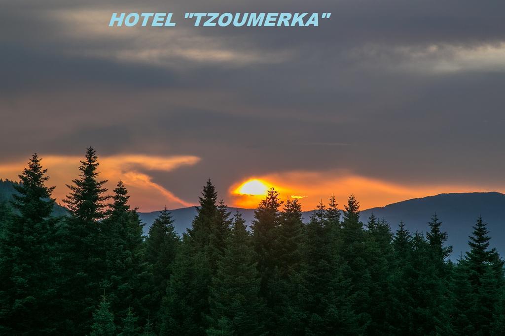 Hotel Tzoumerka Праманта Екстериор снимка